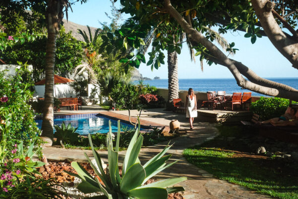 header_argayall_02 header_argayall_02