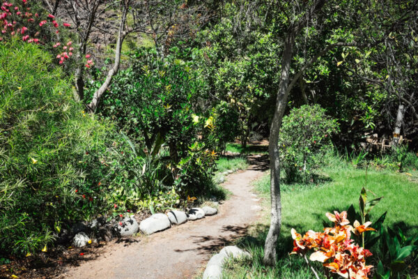 header_argayall_08 header_argayall_08