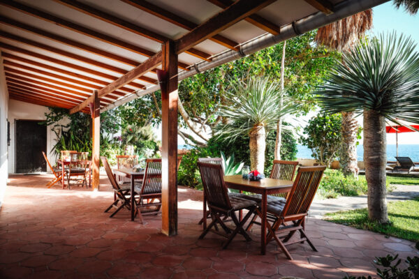 header_argayall_16 header_argayall_16