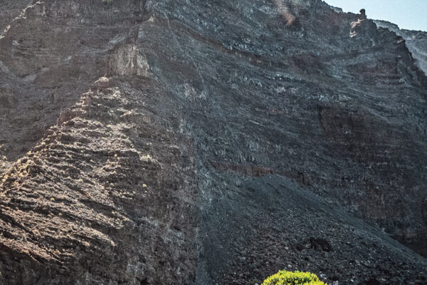 header_argayall_23 header_argayall_23