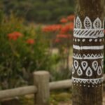 _H0A8426 - Cขpia _H0A8426 - Cขpia