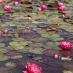 _H0A9165 - Cขpia _H0A9165 - Cขpia