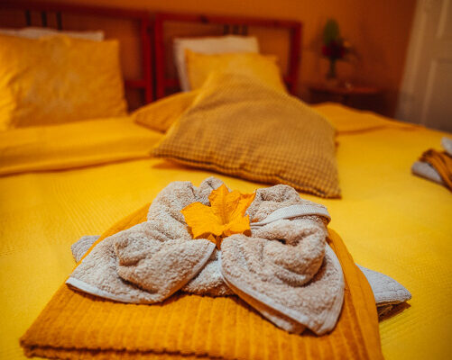 web_DSC00820 web_DSC00820